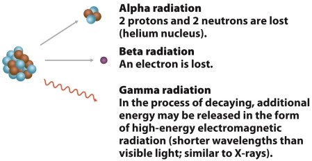 Infographic 22.6.     -Refer to Infographic 22.6. Three types of radiation are given off by radioactive isotopes. Name each one, describe their penetration ability, and explain if and how they are hazardous to humans.