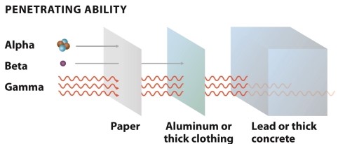 Infographic 22.6.     -Refer to Infographic 22.6. Three types of radiation are given off by radioactive isotopes. Name each one, describe their penetration ability, and explain if and how they are hazardous to humans.