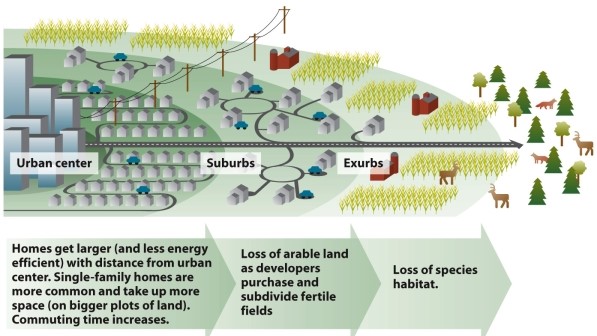 Infographic 25.4.   -Refer to Infographic 25.4. What are some of the unwanted consequences of suburban sprawl?