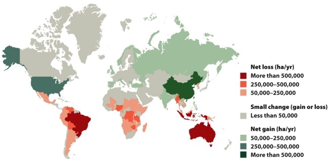 Infographic 28.5.   -Refer to the map in Infographic 28.5. The data on the net change in forested area between 2005 and 2010 suggest that, in general, _________________ exists between a country's rate of deforestation and its overall economic status. A)  a positive relationship B)  a negative relationship C)  no relationship D)  a random relationship E)  none of these answers