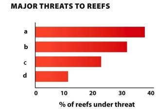 Infographic 29.4.   -Refer to the graph in Infographic 29.4. The graph shows the level of each of the four major threats that coral reefs currently face. Which are the correct labels for the graph? A)  a = overfishing; b = marine-based pollution; c = coastal development; d = inland pollution B)  a = inland pollution; b = marine-based pollution; c = overfishing; d = coastal development C)  a = coastal development; b = inland pollution; c = marine-based pollution; d = overfishing D)  a = overfishing; b = coastal development; c = inland population; d = marine-based pollution E)  a = marine-based pollution; b = coastal development; c = inland pollution; d = overfishing