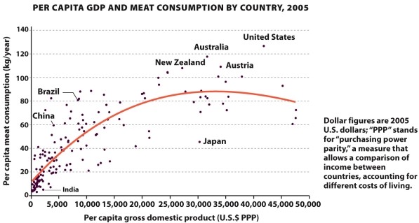Infographic 30.2   -According to Infographic 30.2, in 2005 China's annual per capita meat consumption was: A)  5000 kilograms/year. B)  125 kilograms/year. C)  60 kilograms/year. D)  20 kilograms/year. E)  The information cannot be determined from this infographic.