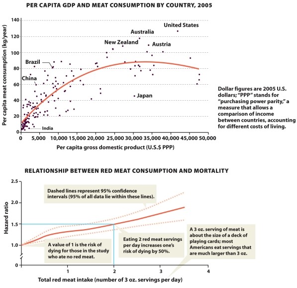 Infographic 30.2   Refer to Infographic 30.2. Explain the relationship between red meat consumption and mortality. In designing a study to test this relationship, what other variables that affect mortality would need to be controlled for (taken into account) to avoid confounding the results?<div style=padding-top: 35px> 