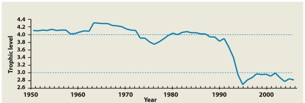 Infographic 31.3   -Refer to the graph in Infographic 31.3. What does the figure show? A)  fish catch in the 1960s containing mostly lower-trophic-level fish, suggesting that higher-trophic-level fish populations had been depleted B)  the size of fish catch that could be harvested in any given year without decreasing the yield in future years C)  the decrease in the size of the bycatch of different trophic levels over time as fishing technology improved D)  a plot of the Marine Trophic Index from 1950 to 2006, which is a measure of the average trophic level of fish taken in a given year and which is an indicator of the status of a marine ecosystem E)  the annual size of the cod harvest from 1950 to 2006