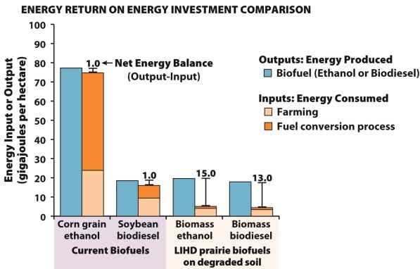 Infographic 32.3.   -Refer to Infographic 32.3. Use the data from the energy return on energy investment comparison graph to determine which crop offers the highest net energy return (output - input) . A)  corn grain ethanol B)  soybean biodiesel C)  biomass combustion D)  biomass ethanol E)  biomass biodiesel