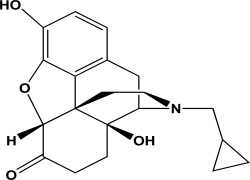 Naltrexone is an antagonist at the mu opioid receptor.What is the hybridization state and geometry of the nitrogen atom in naltrexone?   A) sp hybridized and linear geometry B) sp<sup>2</sup> hybridized and trigonal pyramidal C) sp<sup>3</sup> hybridized and trigonal pyramidal D) sp<sup>3</sup> hybridized and trigonal planar E) sp<sup>3</sup> hybridized and bent