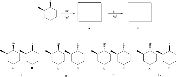 The following compound can undergo two successive S<sub>N</sub>2 reactions.What are the products of these reactions?   A) I B) II C) III D) IV E) None of these pairs