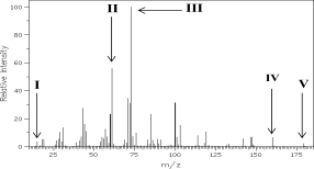 Which of the following is the base peak?   A) I B) II C) III D) IV E) V