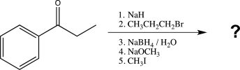 Predict the major product of the following synthetic scheme.   A)    B)    C)    D)    E)   