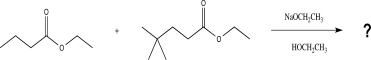 Draw all possible products that could be obtained from the reaction below.  