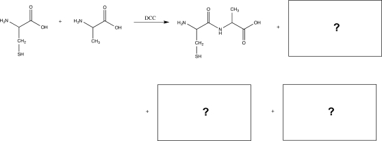 Draw the structures of three additional dipeptides that could be produced in the reaction below,and draw the mechanism for the production of the dipeptide shown.  