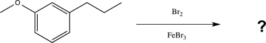 Predict the two major products of the reaction below.  
