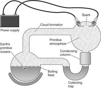 What was the goal of the experiment depicted below?   A)  to create a microorganism B)  to simulate the formation of Earth C)  to simulate the Big Bang D)  to simulate the early universe E)  to simulate the formation of the building blocks of life