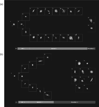 The figure shown below shows two different versions of the Hubble tuning fork diagram. One was made using what galaxies are like now, while the other was made using what galaxies were like 6 billion years ago.   Which one was made using observations of what galaxies were like 6 billion years ago? A)  Version A is from 6 billion years ago because the galaxy mergers that have occurred since that time created more peculiar galaxies. B)  Version A is from 6 billion years ago because there were more galaxies in the past than there are today. C)  Version B is from 6 billion years ago because it has a higher percentage of elliptical galaxies. D)  Version B is from 6 billion years ago because the higher merger rate in the past leads to a larger percentage of peculiar galaxies. E)  There is no way to know since galaxies don't change much as they get older.
