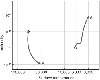 During evolutionary phase A in the figure below, the star is _________. In evolutionary phase B, it is _________.   A)  expanding; expanding B)  expanding; contracting C)  contracting; losing mass D)  contracting; contracting E)  gaining mass; contracting