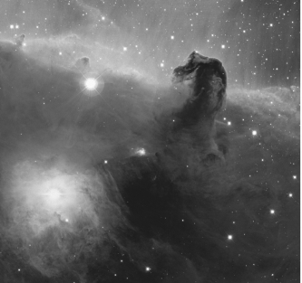 The red emission in the photo below is due to:   A)  carbon monoxide (CO)  B)  warm, neutral hydrogen C)  molecular hydrogen (H<sub>2</sub>)  D)  ionized hydrogen (H II region)  E)  dust