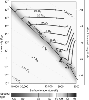    Figure 1 -Use Figure 1 to complete the following statement. At the start of the evolution of a protostar, the radius of a 60 M <sub> \odot </sub>  protostar is roughly _________ a 1 M <sub> \odot </sub>  main-sequence star. A)  10 times bigger than B)  100 times bigger than C)  10 times smaller than D)  100 time smaller than E)  the same as 