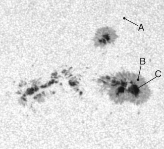 The image below taken at visible wavelengths shows a section of the Sun with sunspots visible.   Which of the labeled regions is the lowest temperature? A)  region A B)  region B C)  region C D)  They are all the same temperature. E)  There is not enough information to determine their relative temperatures.