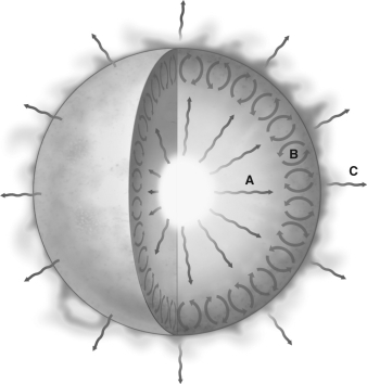 The picture below shows a diagram of the Sun with zones labeled A, B, and C.   Explain how energy is being transferred in each of the three regions.