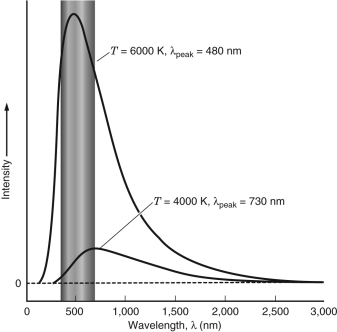 The blackbody spectra of a star with a temperature of 6000 K and a star with a temperature of 4000 K are shown below.   An astronomer uses a telescope to observe each of these two stars in both the blue and red filters. The blue filter is centered at 450 nm, while the red filter is centered at 660 nm. For each of the two stars, state through which filter that star will be the brightest. Explain your answer.