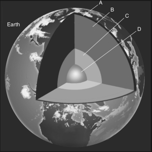   Figure 3 -Which layer in Figure 3 represents the Earth's liquid core? A)  A B)  B C)  C D)  D