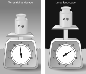 According to the scales in the figure, about how many times stronger is gravity on Earth than on the Moon?   A)  20 B)  3 C)  2 D)  6 E)  They are the same.