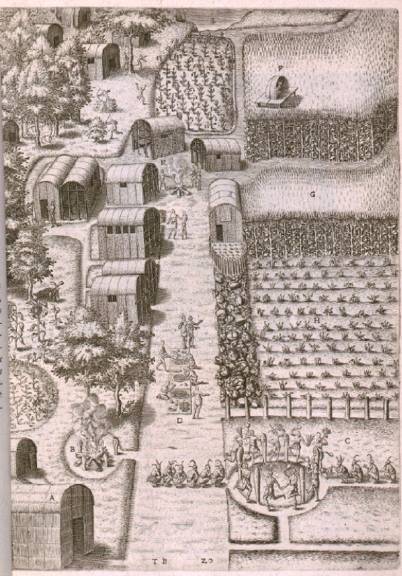 The following questions refer to the image below.     Library of Congress Prints and Photographs Division[LC-USZC4-5267] An engraving by John White,Secotan,an Algonquian village,ca.1585 -Which of the following factors played the most significant role in the development of the Native social and economic structures pictured here? A)  The presence of European explorers B)  The environment C)  The Columbian Exchange D)  The rise of Christianity