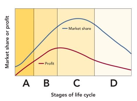 FIGURE 14-11   -According to Figure 14-11 above, segment  C  represents which stage in the retail life cycle? A) introduction B) early growth C) accelerated development D) maturity E) decline