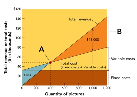 FIGURE 12-7   -Figure 12-7 above is drawn to show that variable costs are smaller than fixed costs when the firm sells A) 400 pictures. B) 900 pictures. C) 1000 pictures. D) 1200 pictures. E) There is not enough information to determine this.