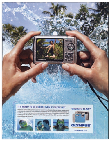 FIGURE 11-4   -According to the text, the Olympus digital camera (see Figure 11-4 above) , is most likely in what stage of the product life cycle? A) introduction B) growth C) maturity D) harvest E) decline