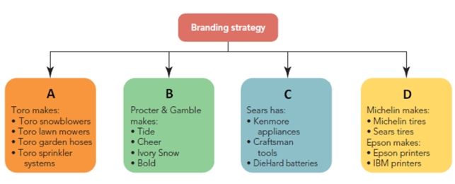 FIGURE 11-10   -Companies can employ several different branding strategies.In Figure 11-10 above,  A  represents __________ branding strategy. A) retailer B) multiproduct C) multibranding D) private E) mixed