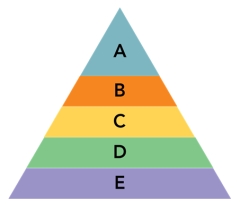 FIGURE 5-6   -According to Figure 5-6 above, the need for freedom from harm and financial security would be found in level A) A B) B C) C D) D E) E