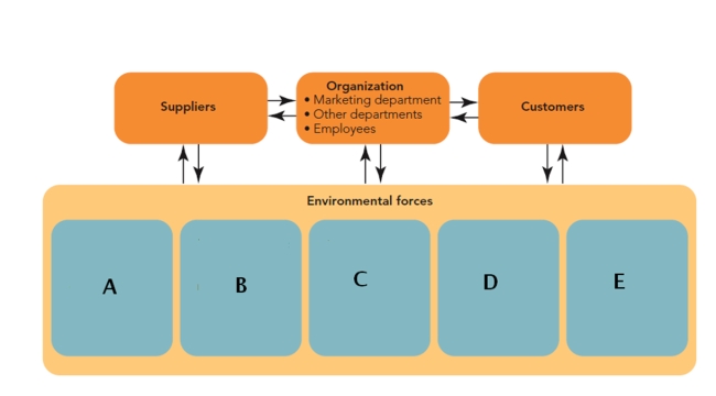 FIGURE 3-6   -Using Figure 3-6 above, identify and explain the five environmental forces that affect an organization.