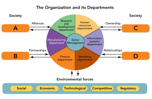 FIGURE 1-1   -As shown in Figure 1-1 above, the __________ department of an organization is responsible for facilitating relationships, partnerships, and alliances with the organization's customers, its shareholders, its suppliers, and other organizations. A) purchasing B) marketing C) human resources D) accounting E) information systems