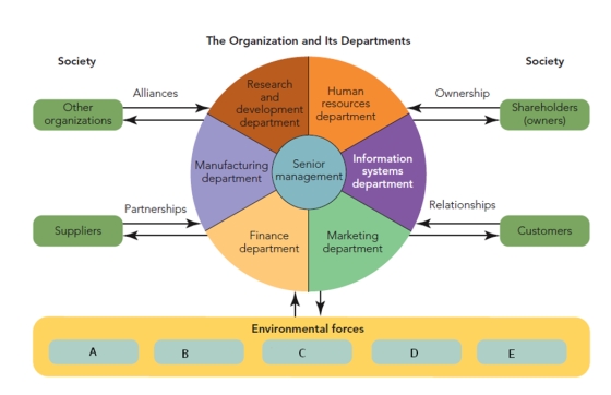FIGURE 1-6   -Using Figure 1-6 above, identify and explain the five environmental forces that affect an organization.