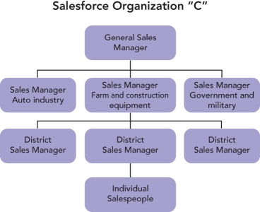   -Consider Figure 17-C above.If a company chooses to employ its own salesforce,there are three basic organizational salesforce structures from which to choose. C  represents which type of salesforce organization structure? A) geographical B) NAICS C) product/service D) market type E) customer