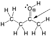 What is the approximate bond angle around the indicated carbon atom?   A)  60<sup>0</sup> B)  90<sup>0</sup> C)  109.5<sup>0</sup> D)  120<sup>0</sup> E)  180<sup>0</sup>