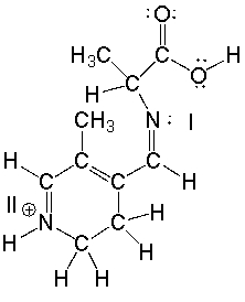 What are the hybridization state, molecular geometry and approximate bond angle at each nitrogen atom in the following compound?  