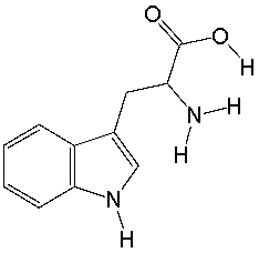 Tryptophan, an essential amino acid, is important in the synthesis of the neurotransmitter serotonin in the body. It has the following structure. Circle the three most acidic protons in tryptophan.  