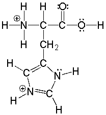 Histidine an amino acid has the following structure. Circle the three most acidic protons in histidine.  