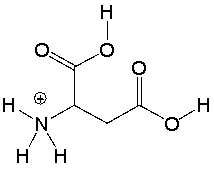 Aspartic acid, an amino acid, has the following structure. Circle the most acidic proton in aspartic acid. Explain your choice.  