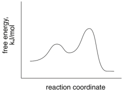Based on the following energy diagram, is the reaction exothermic or endothermic?  