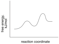 Based on the following energy diagram, is the reaction exothermic or endothermic?  