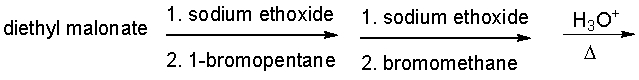 Predict the final product for the following reaction sequence.   A)  2-methylheptanoic acid B)  3-methylhexanoic acid C)  3-methylpentanoic acid D)  2-methylpentanoic acid E)  ethyl 2-methylheptanoate