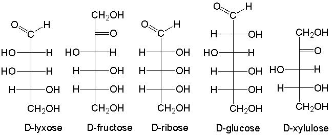 Which of the following is a ketohexose?   A)  D-lyxose B)  D-fructose C)  D-ribose D)  D-glucose E)  D-xylulose