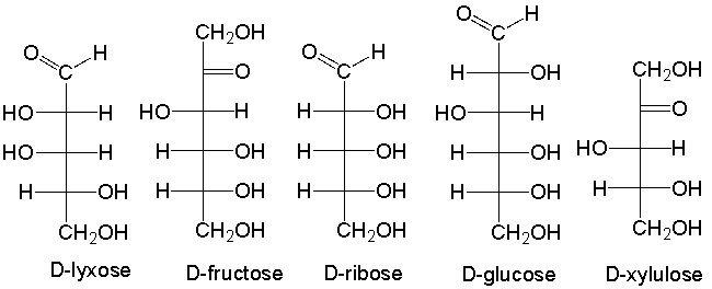 Which of the following is an aldohexose?   A)  D-lyxose B)  D-fructose C)  D-ribose D)  D-glucose E)  D-xylulose