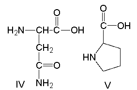 Which of the following amino acids have a basic side chain?     A)  I and II B)  I, II and IV C)  III and V D)  I, II, III and IV E)  all of these