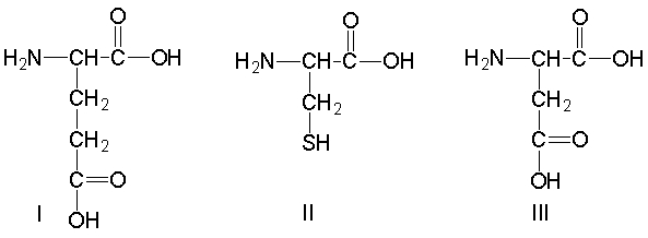 Which of the following amino acids have an acidic side chain?     A)  I and III B)  I, II and III C)  IV and V D)  II, IV and V E)  all of these