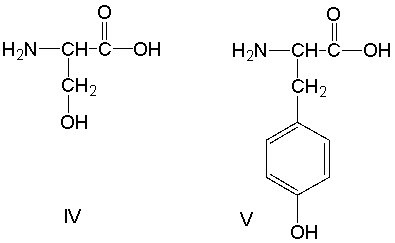 <strong>Which of the following amino acids have an acidic side chain? </strong> A) I and III B) I, II and III C) IV and V D) II, IV and V E) all of these
