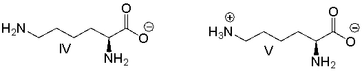 Which of the following is the predominant form of lysine at pH 14?       A)  I B)  II C)  III D)  IV E)  V